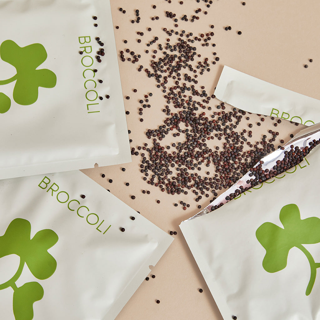 Broccoli mylar bag torn open with seeds pouring out