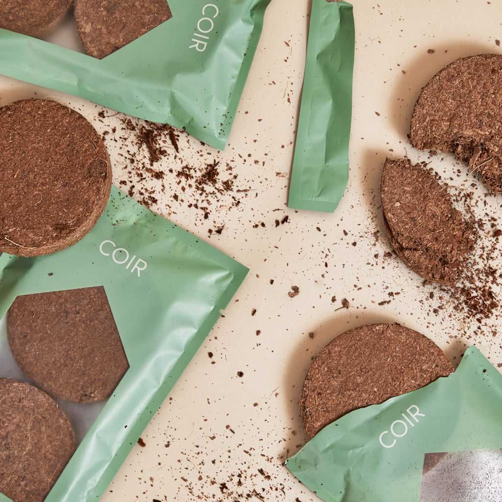 Coir - sustainable soil substitute made from shredded coconut fiber