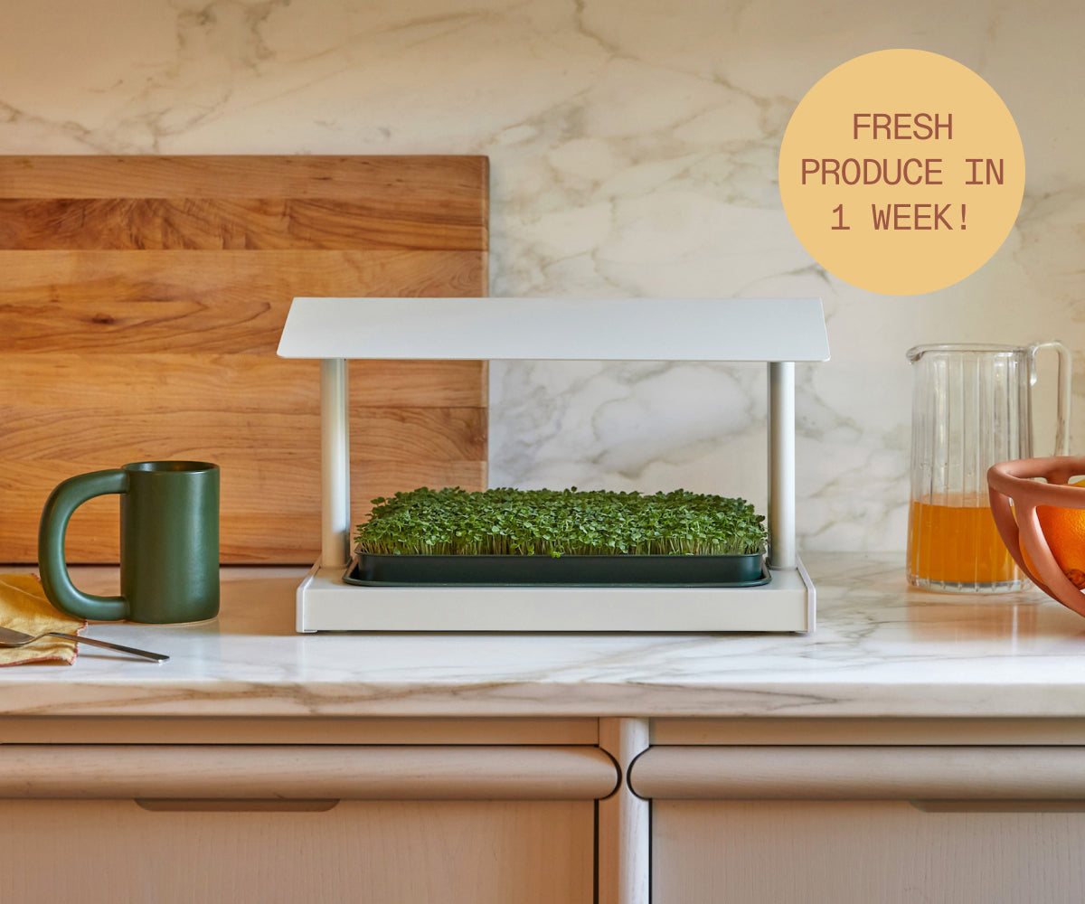 The Fieldhouse indoor sprout garden system by Leath