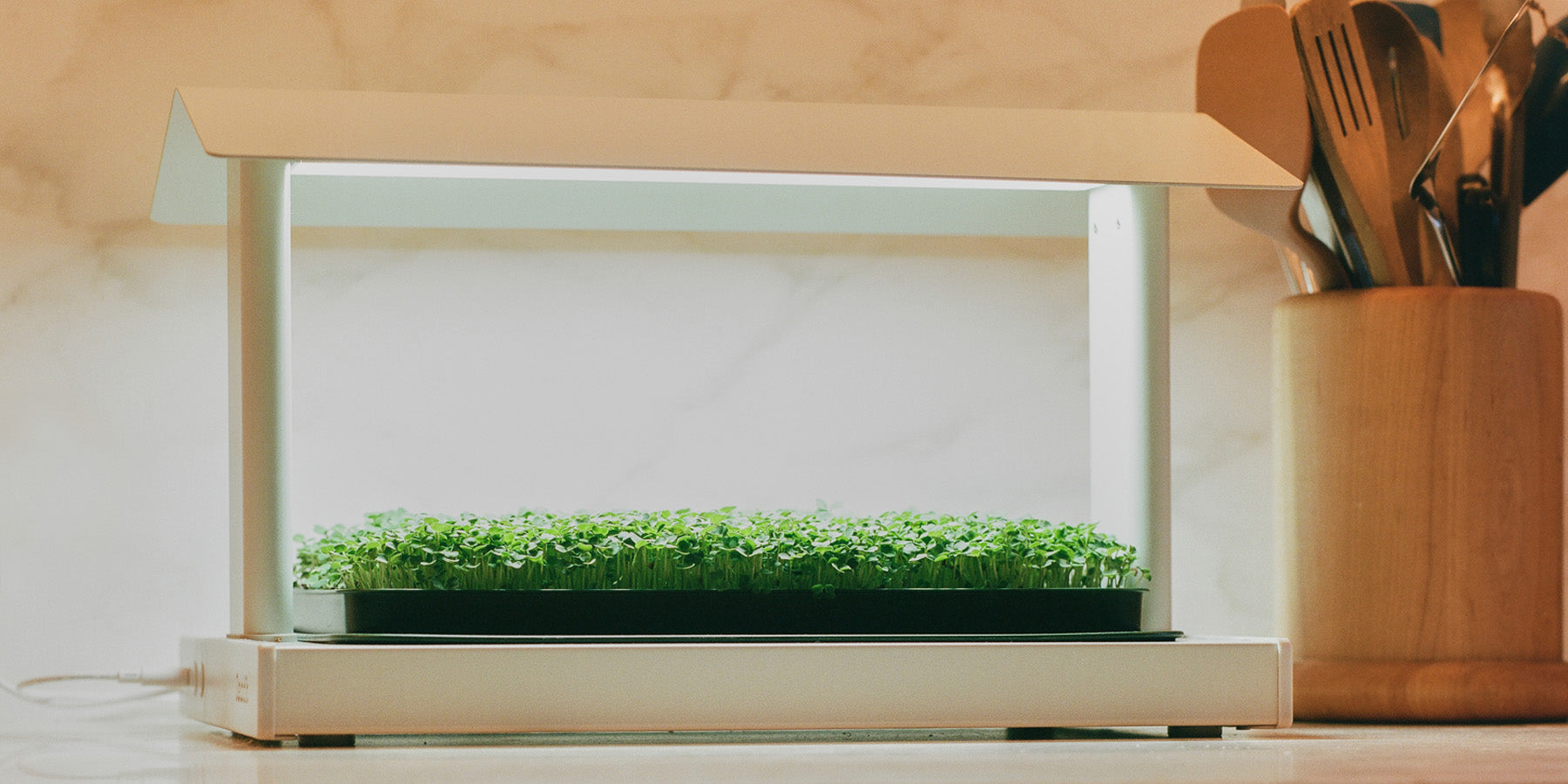 The Fieldhouse in Clay on kitchen countertop with grow light on - best home garden
