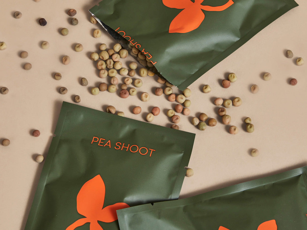 Pea Shoot Leathlet mylar bag torn open with seeds spilling out