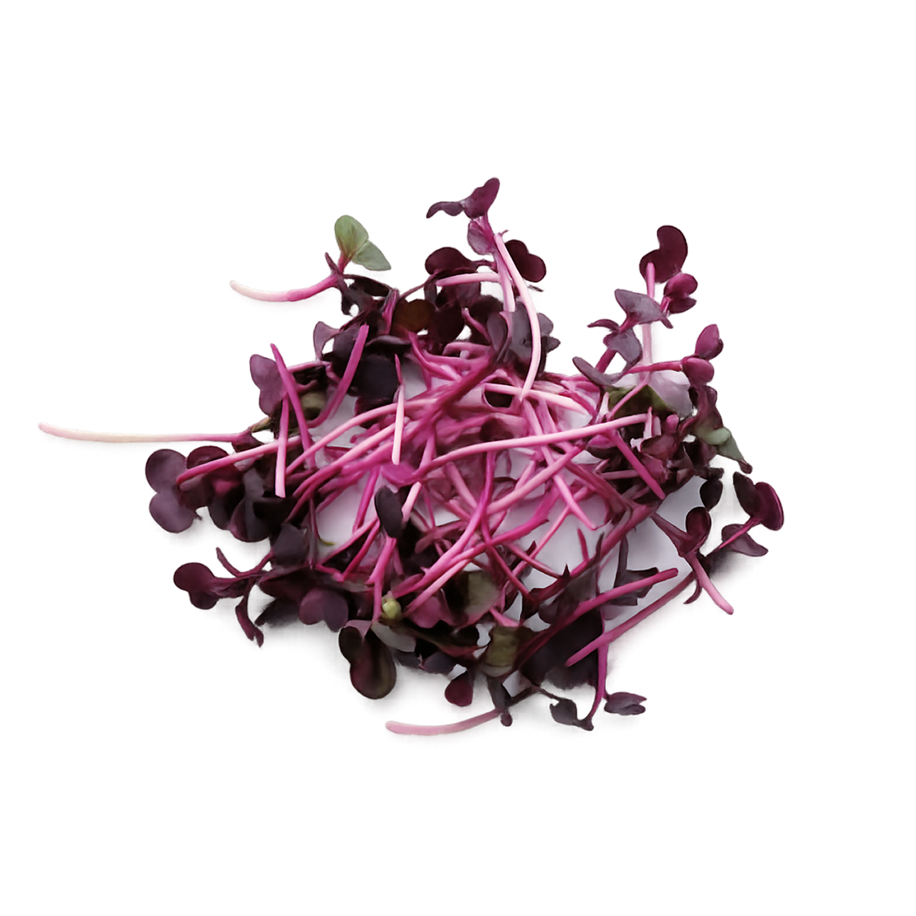 Seed variety