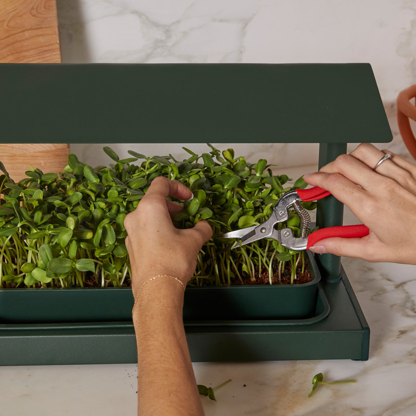 Fieldhouse product photo