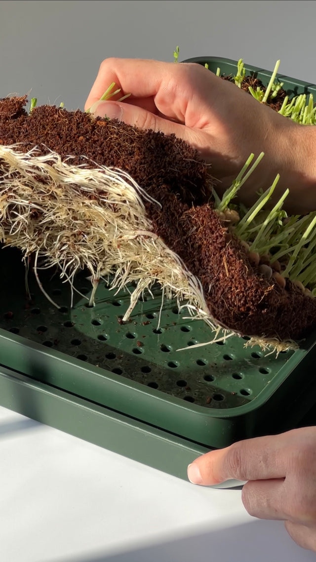 How to compost used grow mats