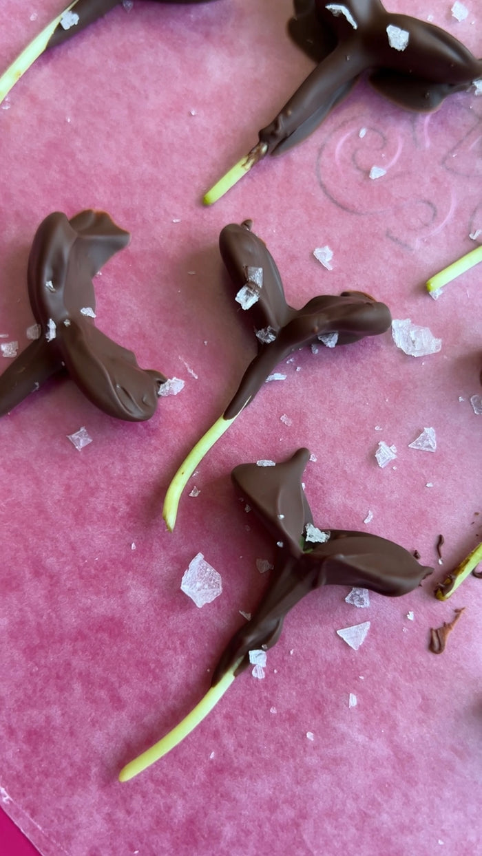 Simple chocolate dipped sunflower microgreens recipe