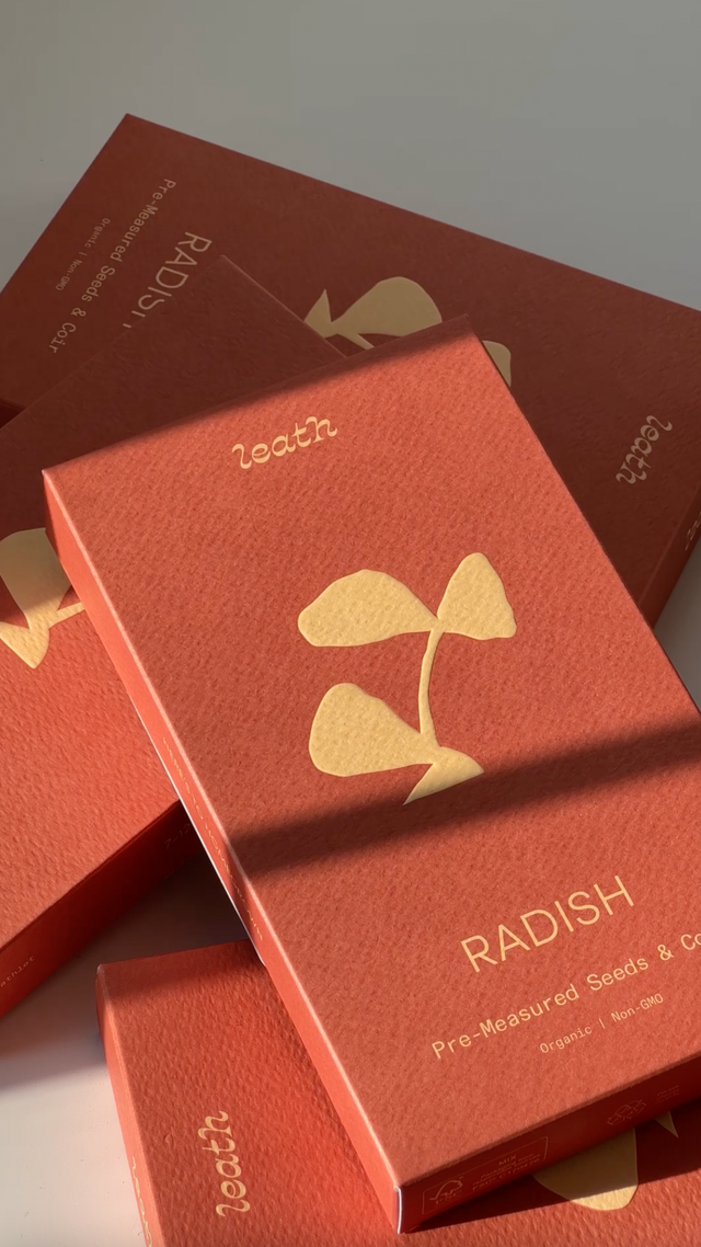 Radish Leathlet Boxes - how to grow radish microgreens in the Fieldhouse