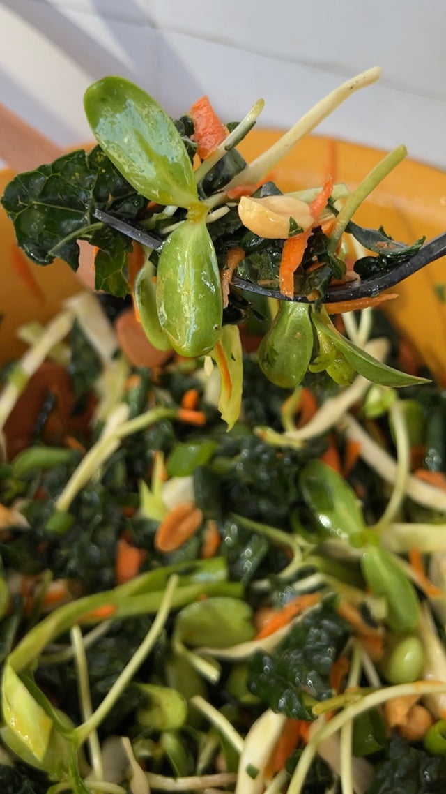 Sunflower microgreen salad with kale, carrots, cabbage & peanuts