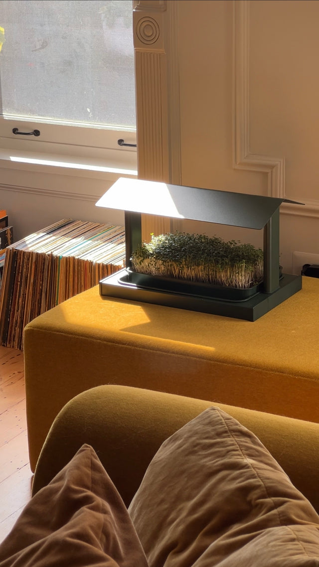 Place your Fieldhouse anywhere in your home