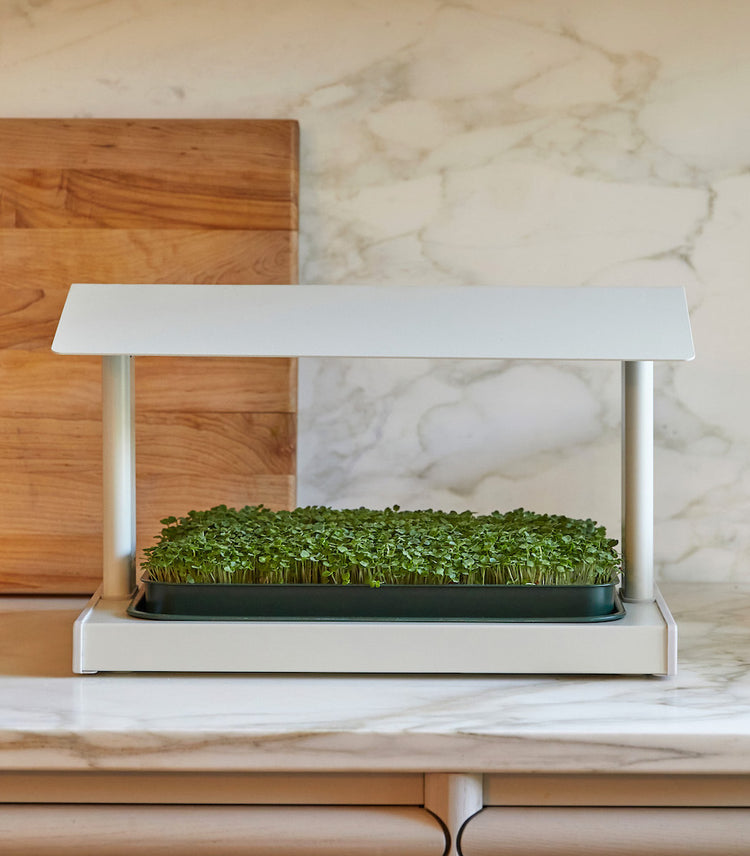 The Fieldhouse Indoor Gardening System by Leath in Clay