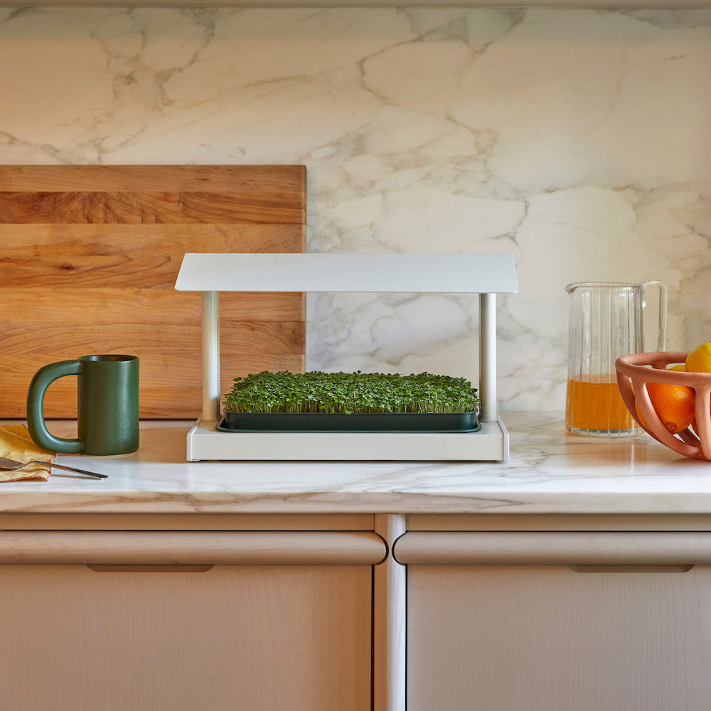 Fieldhouse product photo