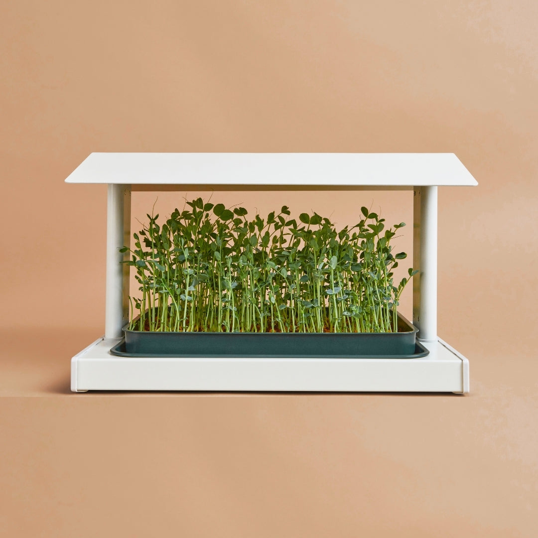 The Fieldhouse<br>(FULL STARTER SET)