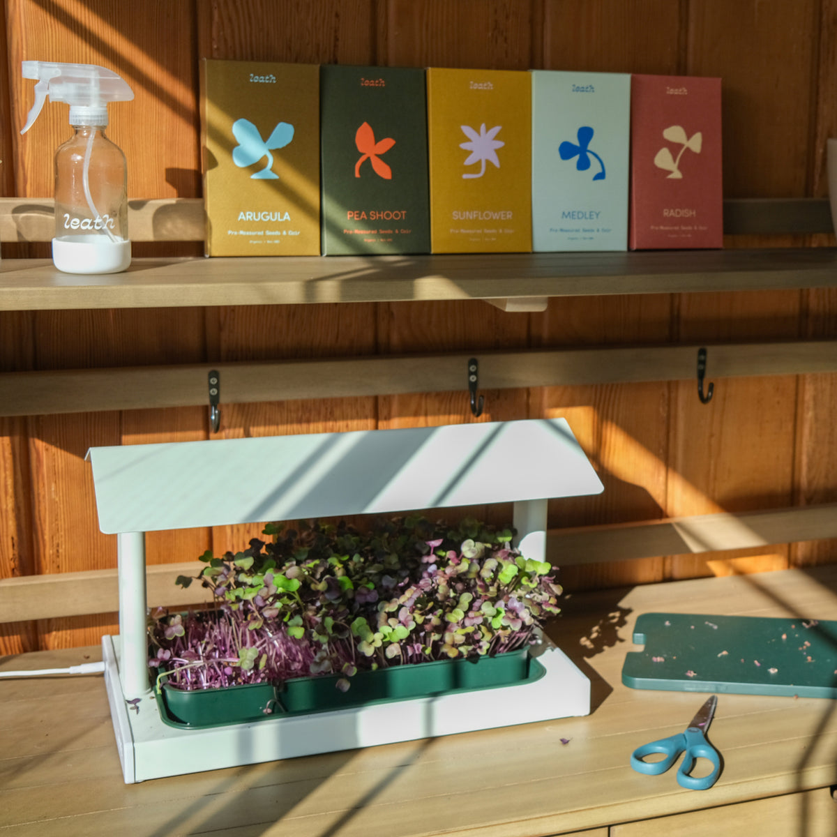 The Fieldhouse<br>(FULL STARTER SET)