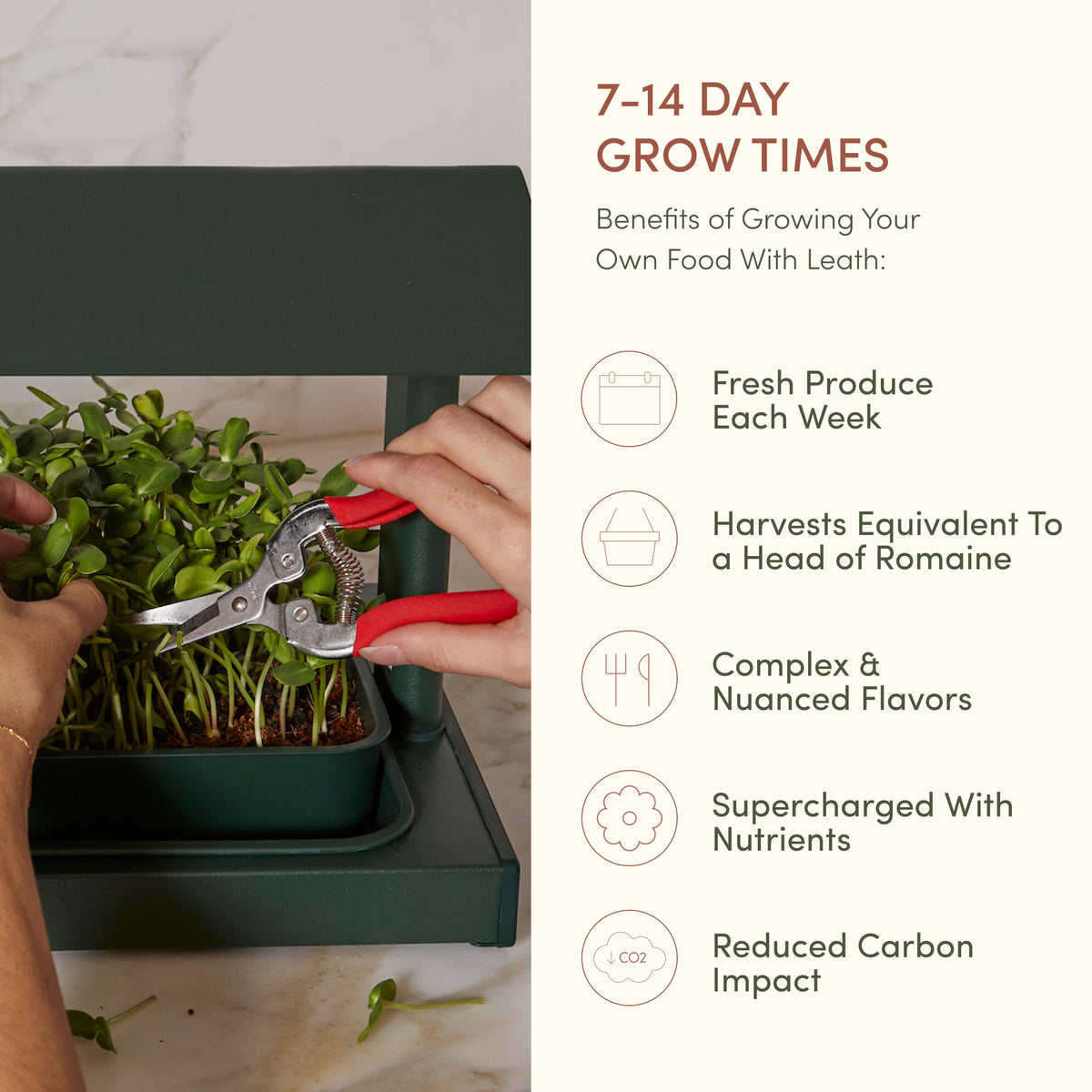 The Fieldhouse<br>(FULL STARTER SET)