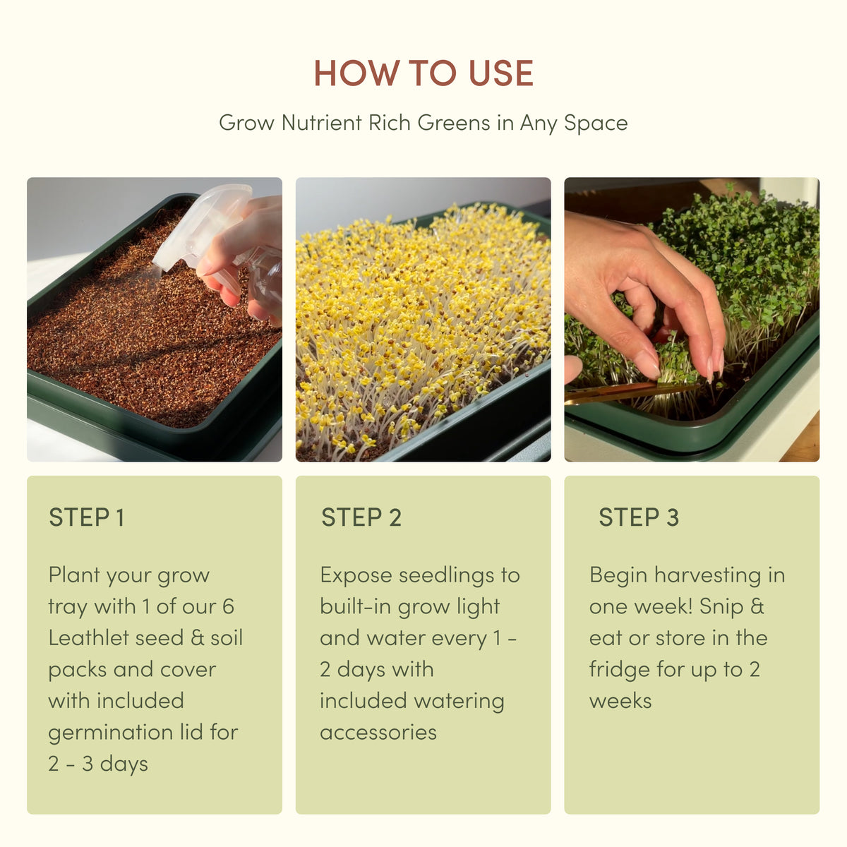 The Fieldhouse<br>(FULL STARTER SET)