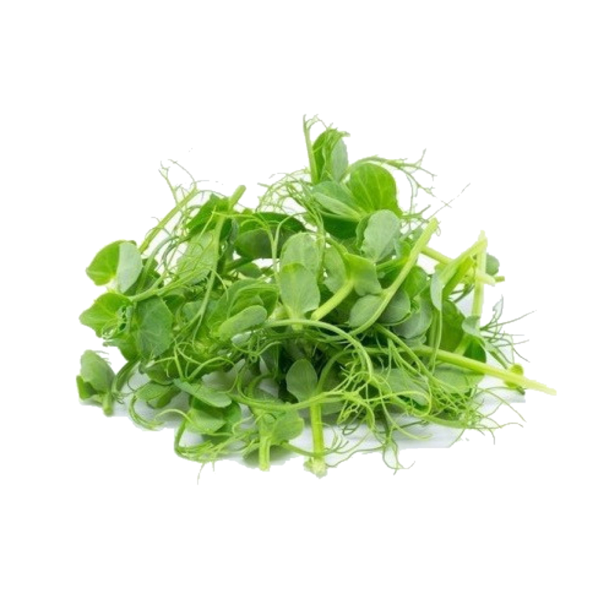 Seed image
