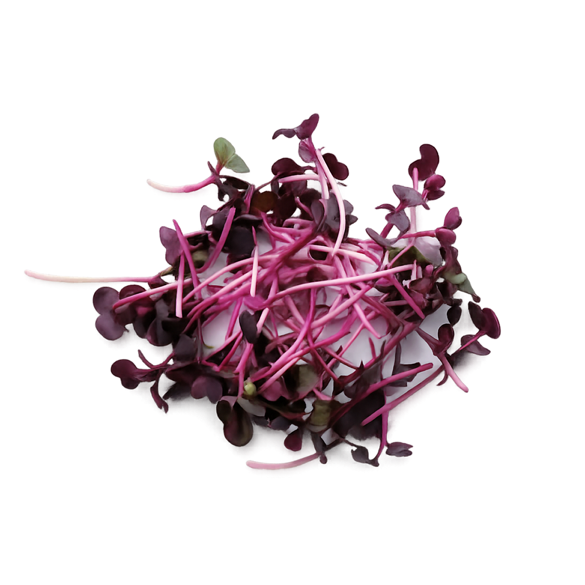 Seed image