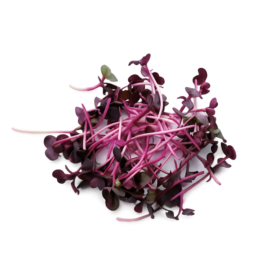 Seed variety